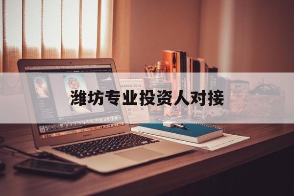 噶尔县潍坊专业投资人对接(潍坊专业投资人对接中心)