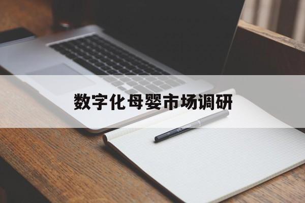 噶尔县数字化母婴市场调研(数字化母婴市场调研报告)