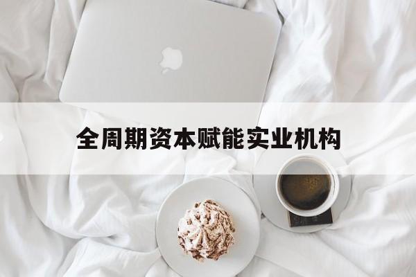 噶尔县全周期资本赋能实业机构(全周期管理)